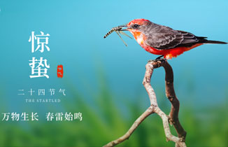 今日驚蟄丨春雷乍動，萬物生機盎然。